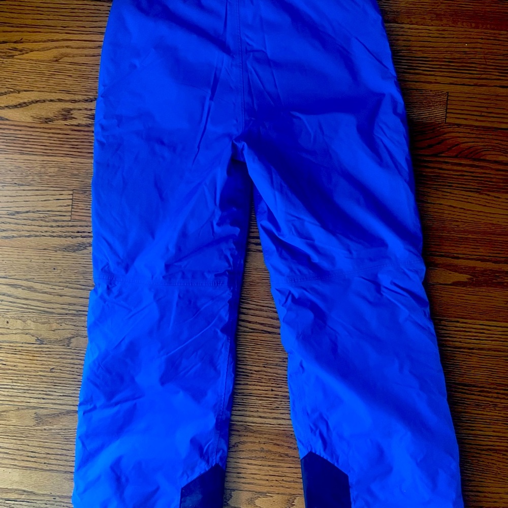 The North Face Ski Pants